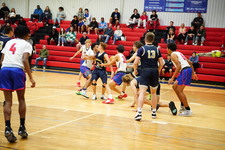 Enlarge photo 186