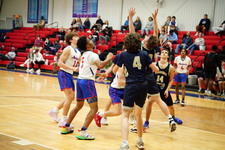 Enlarge photo 382