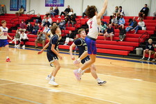 Enlarge photo 419
