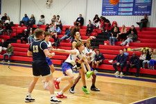 Enlarge photo 462