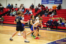 Enlarge photo 463