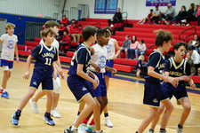 Enlarge photo 219