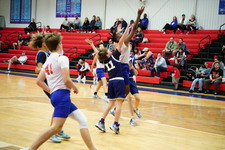 Enlarge photo 238