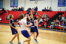 Enlarge photo 239