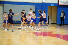 Enlarge photo 260