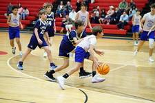 Enlarge photo 281