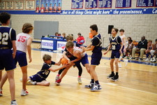 Enlarge photo 445