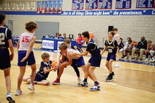 Enlarge photo 446