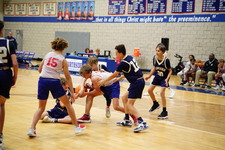Enlarge photo 447