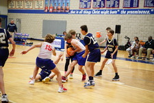 Enlarge photo 448