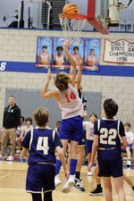 Enlarge photo 459