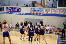 Enlarge photo 462