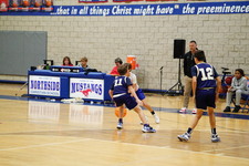 Enlarge photo 485