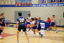 Enlarge photo 486
