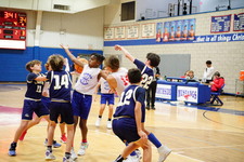Enlarge photo 531