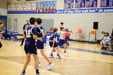 Enlarge photo 533