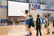 Enlarge photo 131