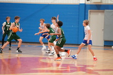 Enlarge photo 229