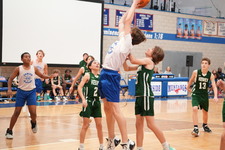 Enlarge photo 309