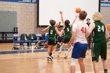 Enlarge photo 328