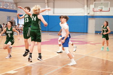 Enlarge photo 335
