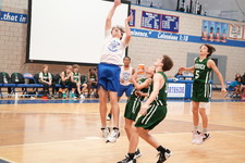 Enlarge photo 339