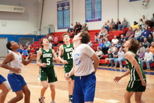 Enlarge photo 464