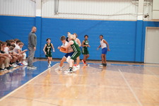 Enlarge photo 523