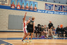 Enlarge photo 226