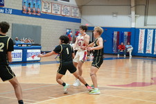 Enlarge photo 237