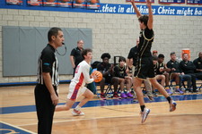 Enlarge photo 243