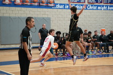 Enlarge photo 244