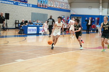 Enlarge photo 336