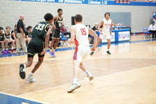 Enlarge photo 462