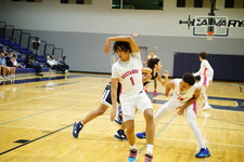 Enlarge photo 230