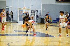 Enlarge photo 537