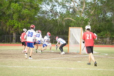 Enlarge photo 45