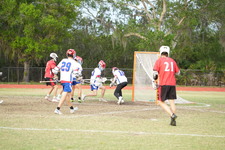 Enlarge photo 47
