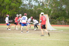 Enlarge photo 51