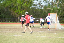 Enlarge photo 54