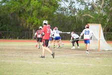 Enlarge photo 53