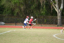 Enlarge photo 63