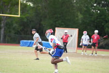 Enlarge photo 83