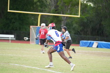 Enlarge photo 88