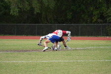 Enlarge photo 98