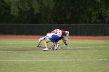 Enlarge photo 100