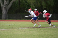 Enlarge photo 108