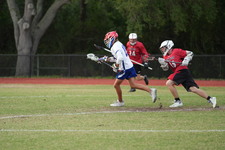 Enlarge photo 107