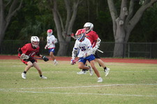 Enlarge photo 113