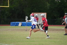 Enlarge photo 121